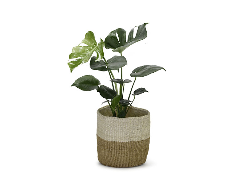 Kenyan Planter Basket - Natural #2